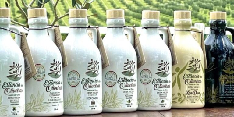 Une ferme familiale du Brésil vient de produire la meilleure huile d&rsquo;olive du monde