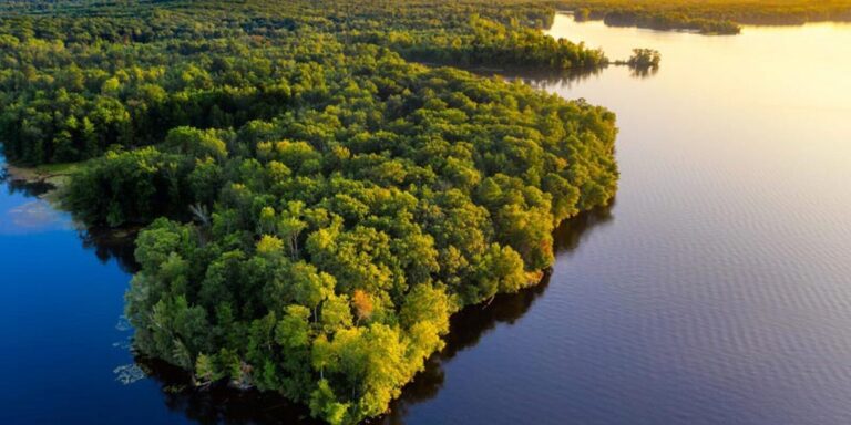 On croyait sauver l&rsquo;Amazonie. C&rsquo;est elle qui nous sauve.