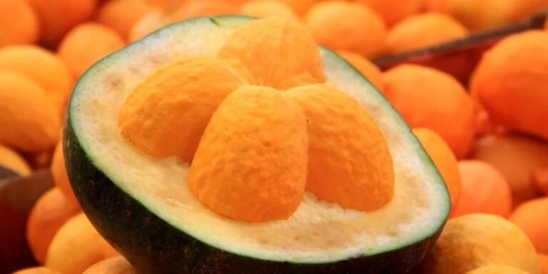 Le Pequi : le Fruit Brésilien que Vous Ne Pouvez Pas Mordre — et que Vous N&rsquo;Oublierez Jamais