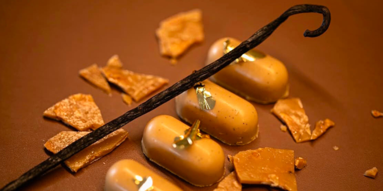 Vanilla Brasil : la Success Story de la Vanille qui Séduit les Plus Grands Chefs